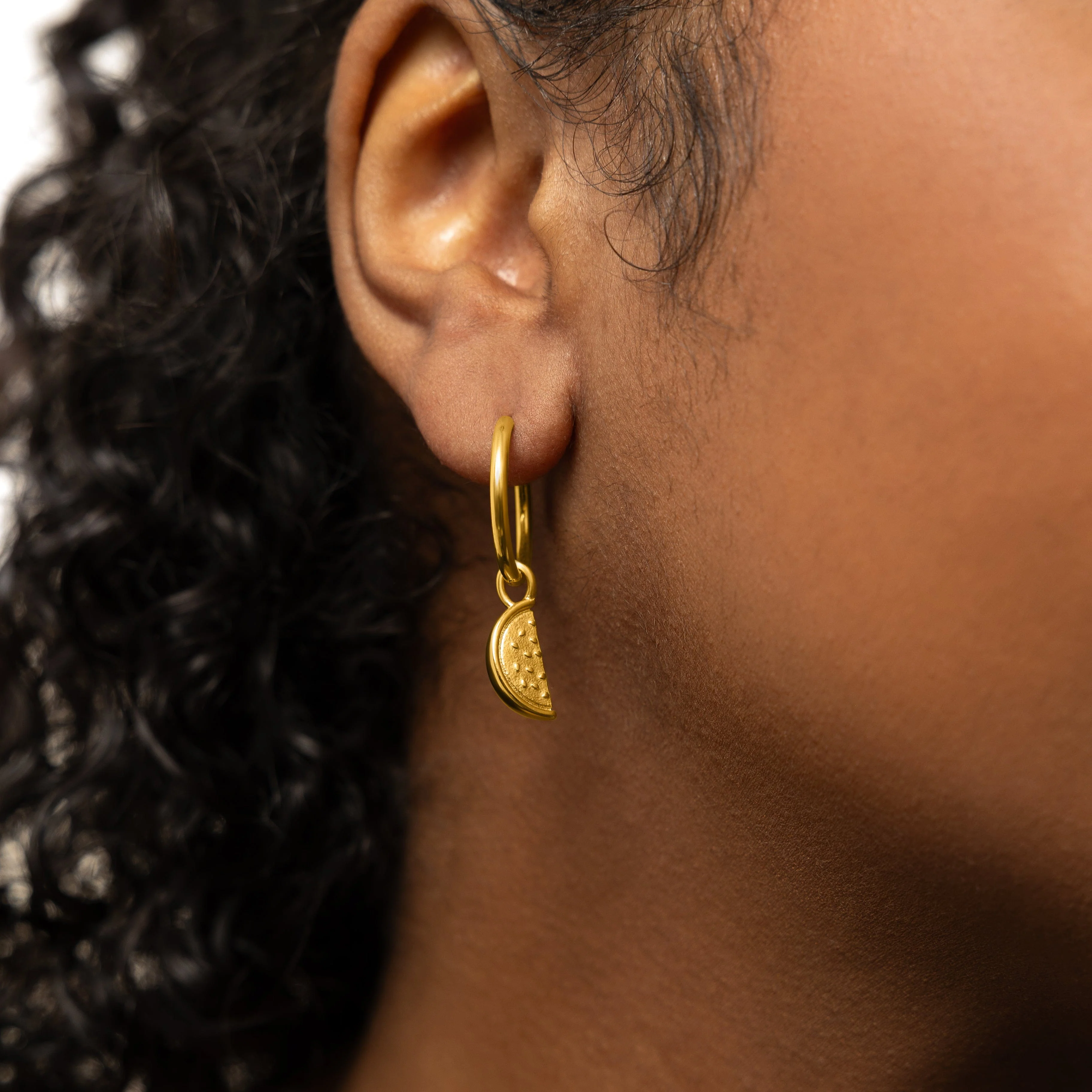 Watermelon Earring Hoop Charm