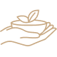donation icon